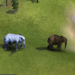 Elephant1.jpg