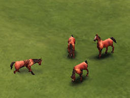 Horse1.jpg