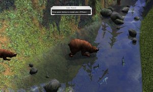 Bear_Fishing2.jpg