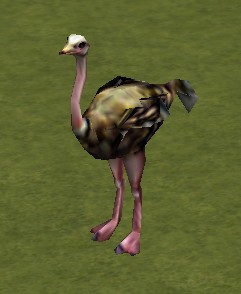 zoo tycoon ostrich